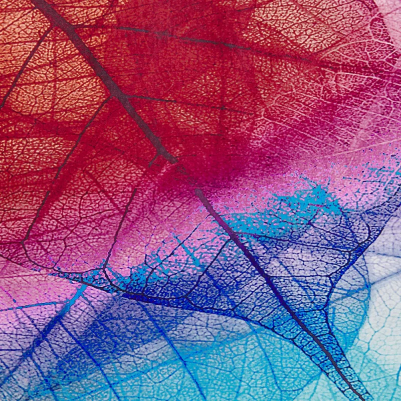 Tappeto Multicolore 160 x 230 cm Foglia Stampa pelo corto Moderno - Image 3
